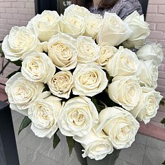 Букет из 23 роз «Плая Бланка