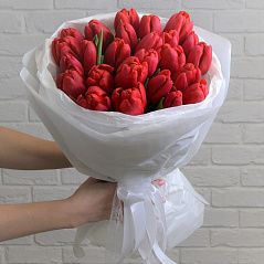 Красные тюльпаны 25 шт