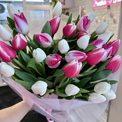 Букет из 31 белого и розового тюльпана